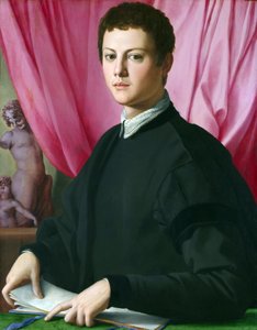 一名年轻男子的画像 作者 Agnolo Bronzino